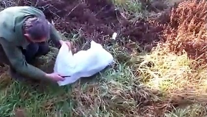 Homem salva cao de morte certa