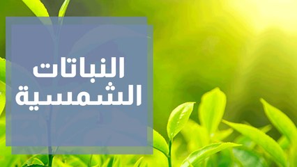 النباتات التي تعيش في الاجواء الشمسية