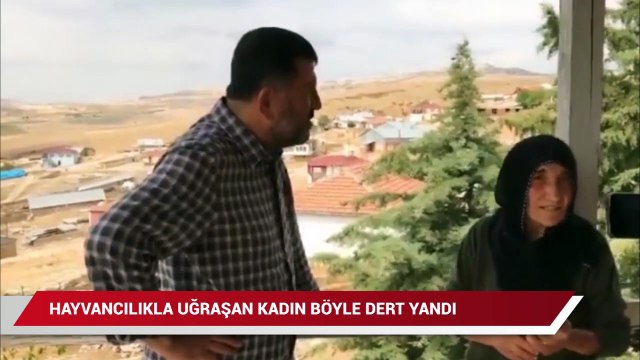 Hayvancılıkla uğraşan 60 yaşındaki kadın CHP'li Ağbaba'ya dert yandı