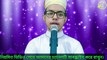 মনোমুগ্ধকর কোরআন তেলাওয়াত | হাফেজ গালিব হাসান ২০২১ | quran tilawat bangla 2021-Islamic Culture21