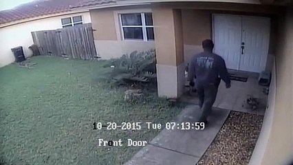 Cadela corre em direção a polícia e acaba baleada