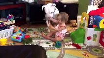 O amor entre um pitbull e uma criança