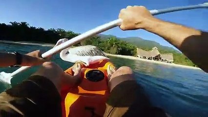 O dia em que um pelicano aprendeu a pescar com humanos