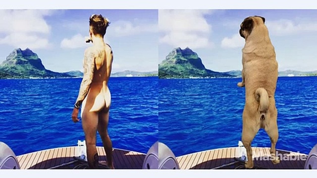 Cão veste-se como Justin Bieber