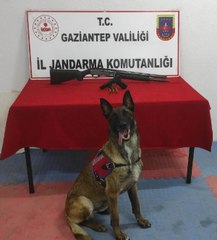 ARAÇTAN HAVAYA ATEŞ AÇTI, 48 BİN 700 TL CEZA UYGULANDI