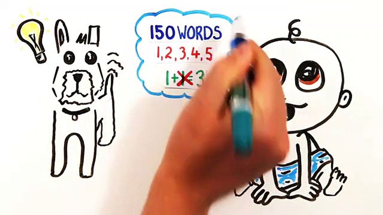A ciência dos cães