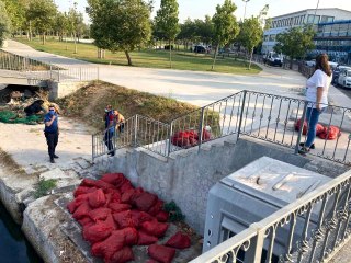 Son dakika... Menekşe Plajında kaçak midye avcılığı yapanlara operasyon