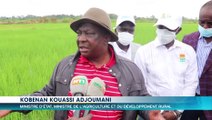 Le Ministre Adjoumani vise l'autosuffisance en riz
