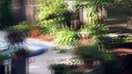 Urso a banhos em piscina