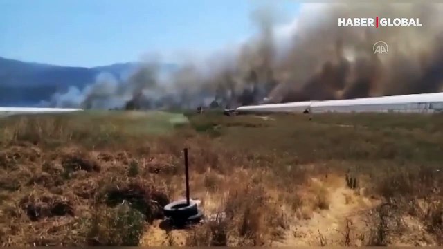 Antalya Kaş'ta sazlık alanda çıkan yangına müdahale ediliyor