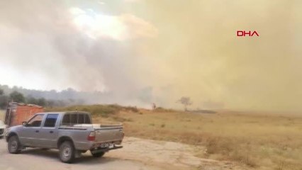 Son dakika haberi... MANAVGAT'TA ORMAN YANGINI