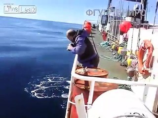 pescadores russos encontram lula gigante
