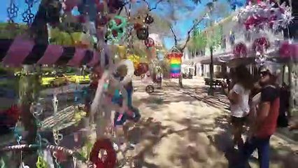 O Paraíso é aqui - Ilha da Madeira