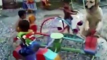 Labrador junta-se a crianças num baloiço