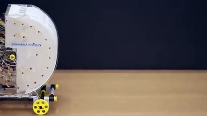 Criado motor movido a água evaporada