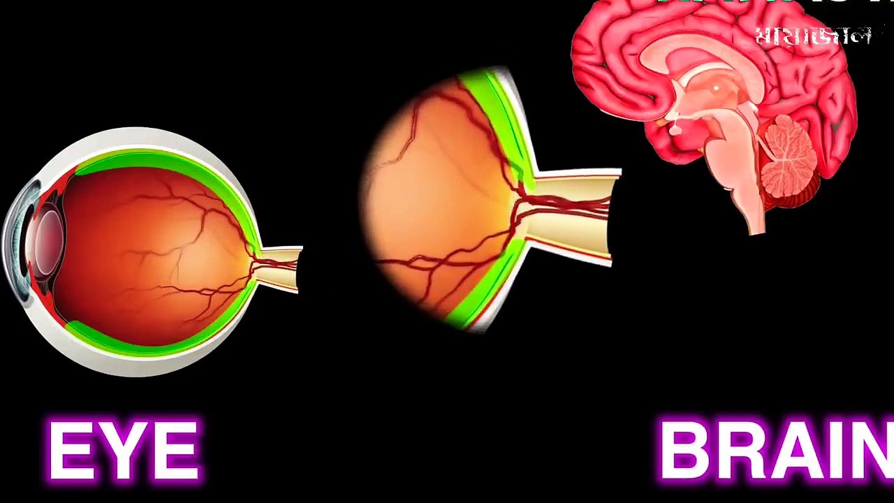 ভিডিওটি দেখার পর আপনার চোখের কালার পালটে যাবে ! This video will change your eye
