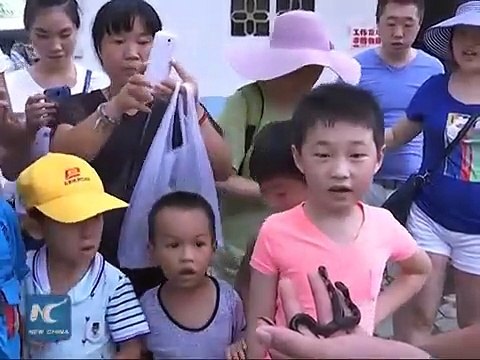 Uma cobra com duas cabeças. Atacam-se uma à outra