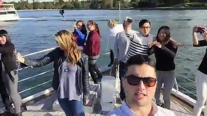 Luta de paus de selfie acaba com homem atirado borda fora