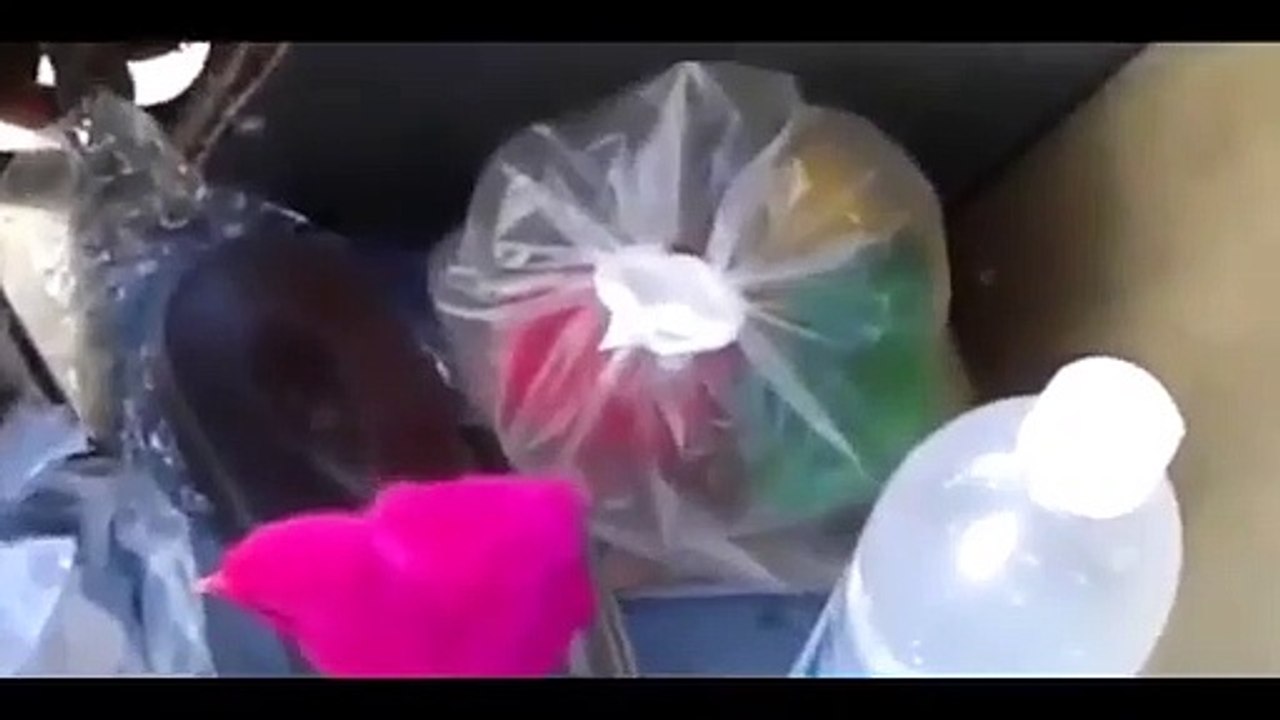 Pintainhos estão a ser pintados de cor-de-rosa e vendidos como brinquedos