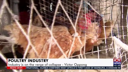Poultry Industry: Industry is on the verge of collapse – Victor Oppong - News Desk on JoyNews (11-8-21)