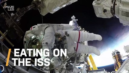 ISS Astronauts Were Just Delivered Pizza On Their Resupply Rocket