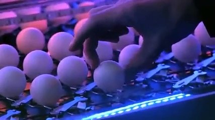 Ratoeiras e bolas de ping-pong