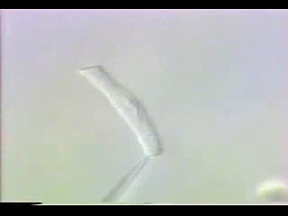 Veja como dançam os ouvidos