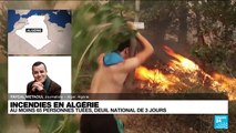 En Algérie, le bilan des feux de forêt s'alourdit à 65 morts