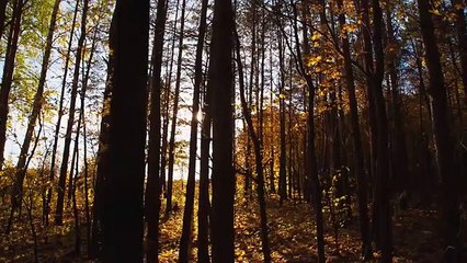 Experimente o tempo do seu destino no aeroporto