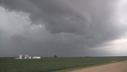 Thunderstorm leaves behind damage in Illinois