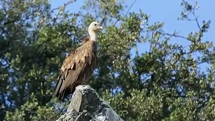 Documentário de português distinguido pelo Vimeo