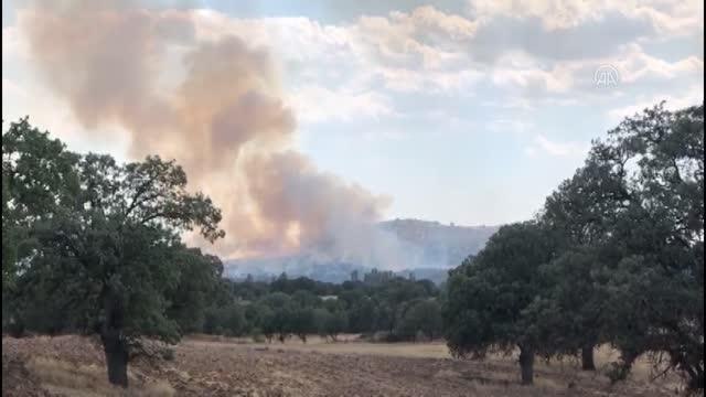 Son dakika... Uşak'ın Ulubey ilçesinde yangın
