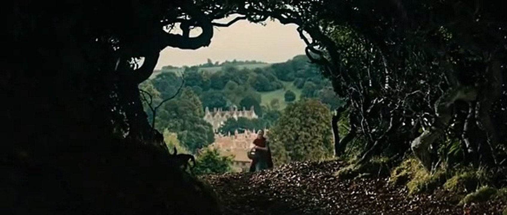 Into The Woods