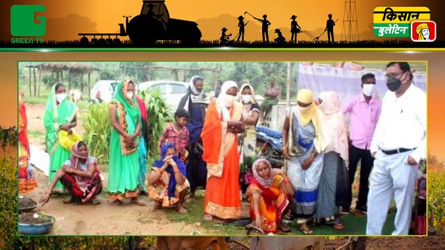 Godhan Nyay Yojana (गोधन न्याय योजना) के लाभ से किसानों को मिल रही आर्थिक मजबूती, हरेली पर्व पर सीएम CM Bhupesh Baghel (भूपेश बघेल) ने भेजे 7 करोड़ 86 लाख रूपए की राशि | Kisan Bulletin | Green TV