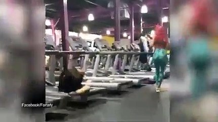 Distrai-se na passadeira com mulher e disfarça com flexões