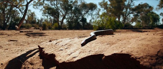 Buckley's Chance Trailer #1 (2021) Bill Nighy, Victoria Hill Movie HD