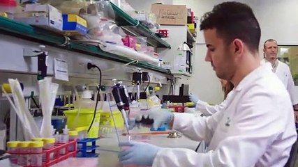 dança Instituto de Investigação Biomédica de Barcelona