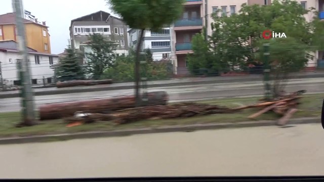 Ayancık Devlet Hastanesi'ni su bastı, bazı iş yerlerinin çatıları yıkıldı