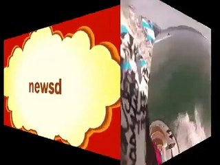 Homem em mota de água atropela baleia