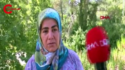 Bucak'ta yangın barajlara kadar ulaştı