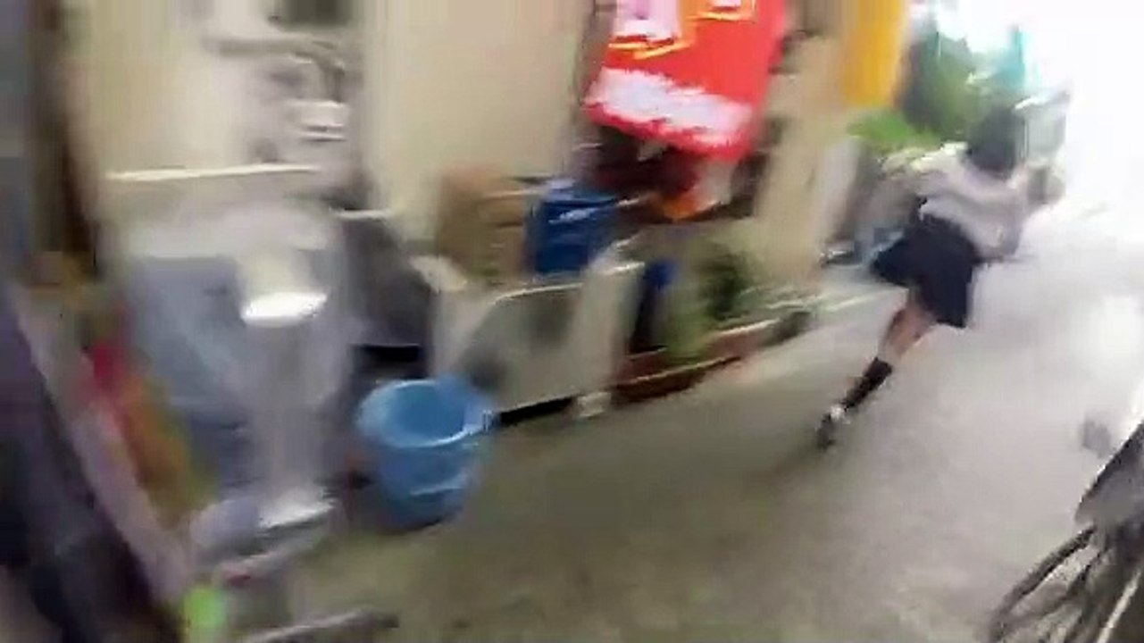 São raparigas, japonesas… e ninjas