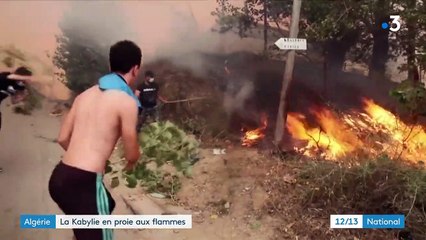 Algérie : de violents incendies ravagent la Kabylie