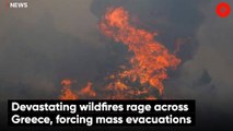 Devastating wildfires rage across Greece forcing mass evacuations
