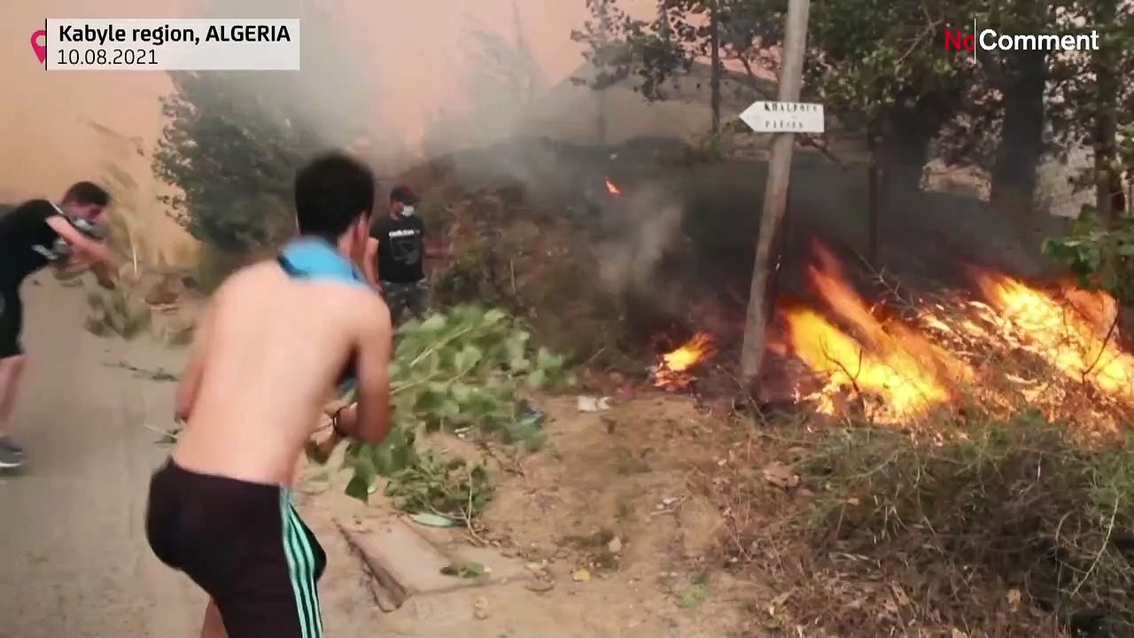 Tote bei Waldbränden in Algerien