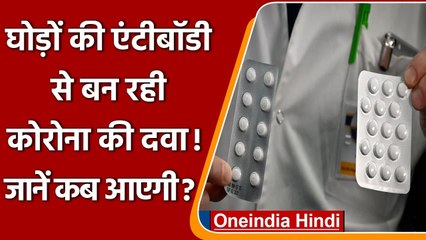 Coronavirus Medicine: Horse Antibodies से कोरोना की दवा बना रही ये भारतीय कंपनी | वनइंडिया हिंदी
