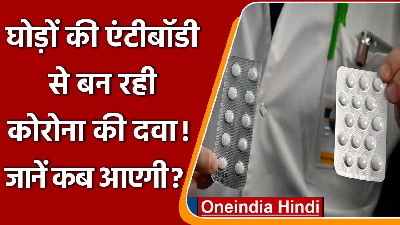 Coronavirus Medicine: Horse Antibodies से कोरोना की दवा बना रही ये भारतीय कंपनी | वनइंडिया हिंदी