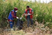 Gönüllü gençler Hazar Gölü kıyısında çevre temizliği yaptı