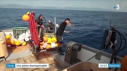 Corse : miser sur un modèle de pêche durable