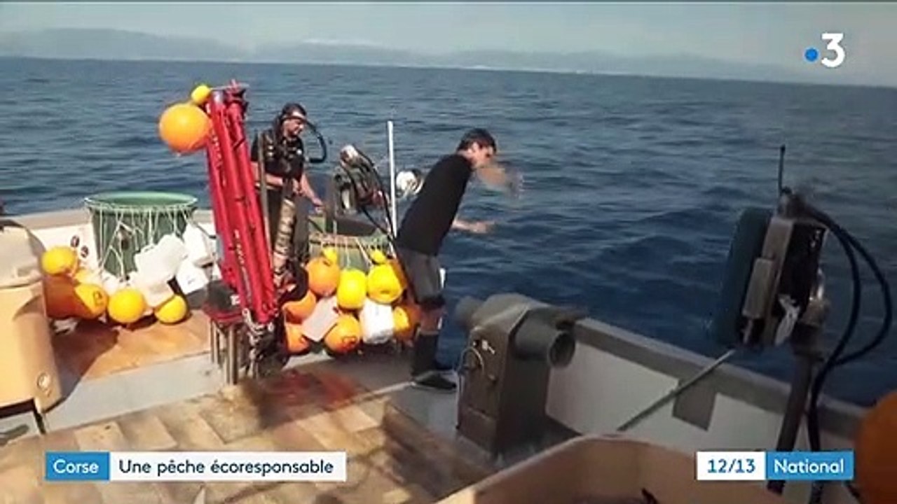 Corse : miser sur un modèle de pêche durable