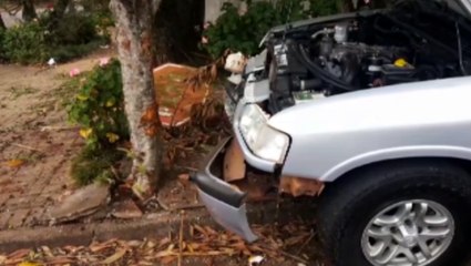 Caminhonete desce a rua desgovernada, derruba placa e só para após bater contra árvore